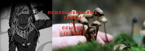 a pvp Алзамай