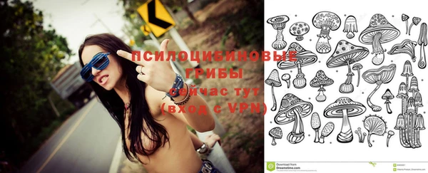 герыч Алексин