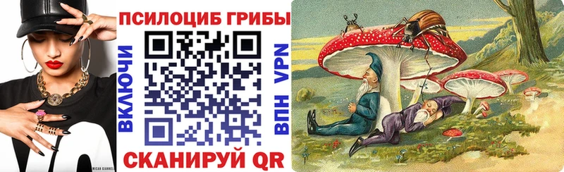 Галлюциногенные грибы GOLDEN TEACHER дарк нет как зайти Данилов